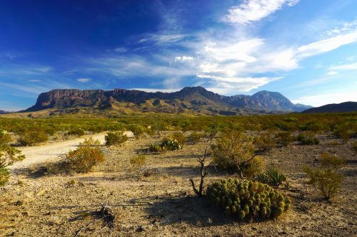 GREAT INVESTMENT!!! 11AC TEXAS ONLY $199/ MONTH! HIKING, HUNTING, CAMPING, OFF GRID LIVING! Get away from the crowds and enjoy the country. $9,949 Only one available at this incredible price!!!