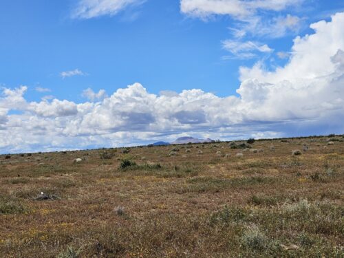 MUST GO! LOCATED IN BOOMING CALIFORNIA CITY, THIS ATTRACTIVE LOT IS A FANTASTIC INVESTMENT! BID NOW!