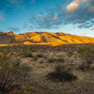 GOLDTOWN IN SOUTHERN CALIFORNIA BOAST AN EXCEPTIONAL LOCATION WITH 4 ADJOINING PARCELS! MUST GO BID NOW!