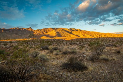 GOLDTOWN IN SOUTHERN CALIFORNIA BOAST AN EXCEPTIONAL LOCATION WITH 4 ADJOINING PARCELS! MUST GO BID NOW!
