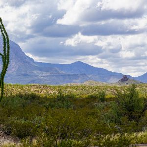 AUCTION! BUY NOW, INVEST NOW! HIDDEN GEM AWAITS, CENTRALLY LOCATED LOT IN SOUTHERN CALIFORNIA! ONLY $199/MONTH!
