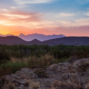 AUCTION! BID NOW AND INVEST NOW IN THIS CHARMING 11-ACRES TEXAS MINI RANCH! ONLY $199/MONTH!