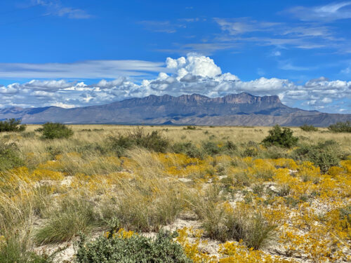 DISCOVER PEACE AND RECREATION ON THIS 11-ACRES TEXAS MINI RANCH, ONLY $199/ MONTH!