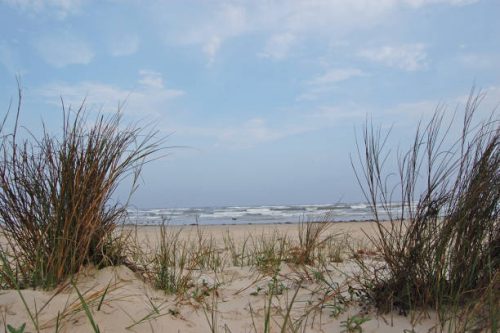 BREATHTAKING OCEAN-VIEW LOT IN MAGNOLIA BEACH, CALHOUN COUNTY, TEXAS $11,795/$199 A MONTH!