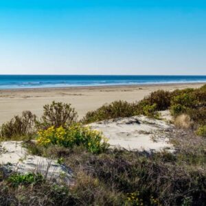 MUST GO!  Only $199/month! OCEAN-VIEW LOT AVAILABLE IN THE SCENIC MAGNOLIA BEACH, TEXAS! PERFECT OFF-GRID RETREAT!