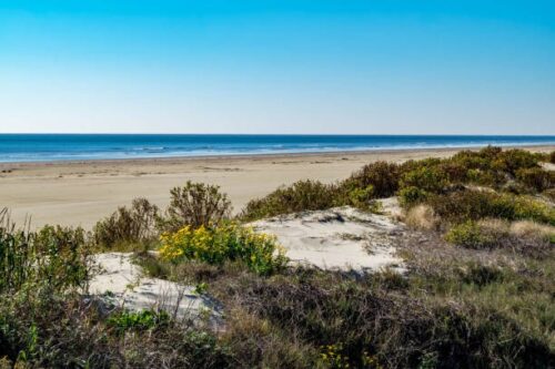 MUST GO!  Only $199/month! OCEAN-VIEW LOT AVAILABLE IN THE SCENIC MAGNOLIA BEACH, TEXAS! PERFECT OFF-GRID RETREAT!