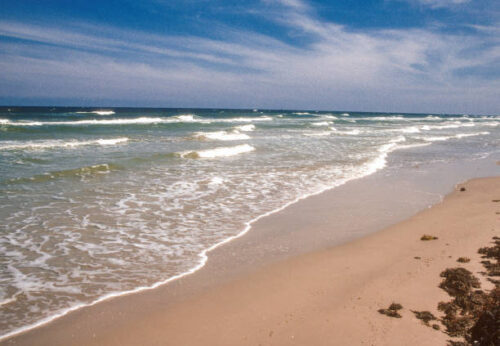 MUST SELL! $6,900 CASH SALE! MAKE OFFER! FANTASTIC INVESTMENT OPPORTUNITY! LOVELY TEXAS LOT JUST MOMENTS FROM THE BEACH. DON’T MISS OUT!