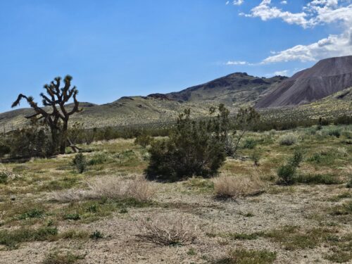LOCATED IN BOOMING CALIFORNIA CITY, THIS ATTRACTIVE LOT IS A FANTASTIC INVESTMENT OPPORTUNITY AT JUST $4,895/ $99 PER MONTH! 50% OFF!
