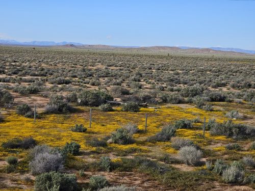 MUST GO! RARE FIND: 4 ADJOINING PARCELS IN SOUTHERN CALIFORNIA – INVEST NOW JUST $4,900/$99 PER MONTH!