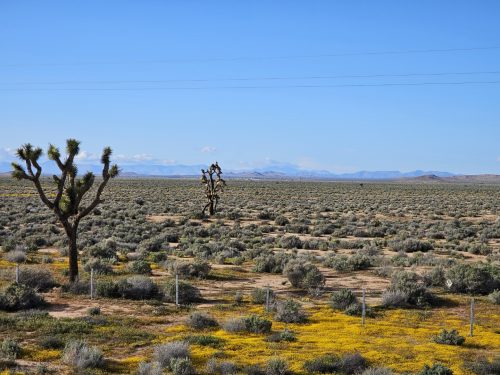 AQUEDUCT CITY, SOUTHERN CALIFORNIA – 3 PARCELS ARE BUNDLED INTO ONE LARGE PROPERTY. INVEST NOW FOR JUST $5,975/$99 PER MONTH!