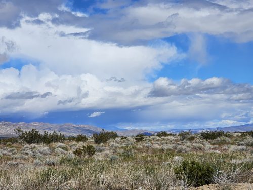 RARE FIND: LARGE 1.98-ACRE PARCEL IN CALIFORNIA CITY, SOUTHERN CALIFORNIA! BID OR BUY NOW!ONLY $199/MONTH!