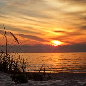 AUCTION! BREATHTAKING LOT IN MAGNOLIA BEACH, CALHOUN COUNTY, TEXAS!! Unbeatable price of $7,989!! BUY NOW, ONLY$199/MONTH!