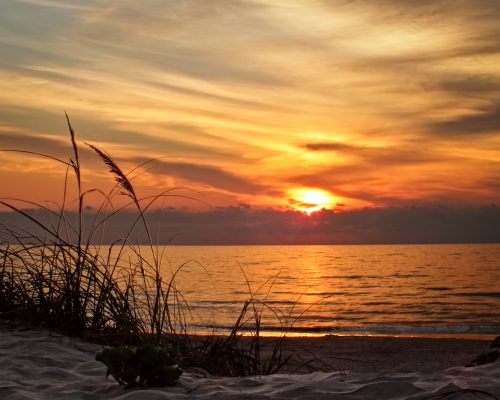 OCEAN-VIEW LOT AVAILABLE IN THE SCENIC MAGNOLIA BEACH, TEXAS, FOR JUST $199 PER MONTH!