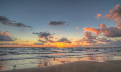 MUST GO! EXCEPTIONAL TEXAS PROPERTY ONLY MINUTES AWAY FROM THE BEACH! ONLY $9,777/ $199 PER MONTH!