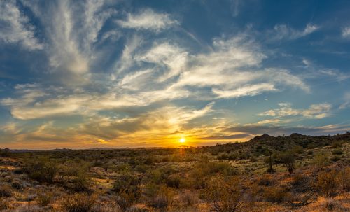 SUMMER LIQUIDATION SALE! ONLY $999 CASH! BEST LAND BUY OF THE YEAR! OWN NOW IN TAFT CALIFORNIA, MUST GO! INVESTMENT OPPORTUNITY!