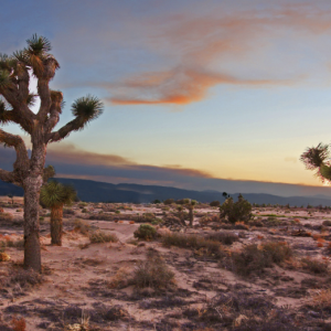 BID NOW! RARE LARGE 2.5-ACRE PARCEL IN CALIFORNIA CITY, SOUTHERN CALIFORNIA LOCATED IN A GROWING AREA FOR JUST $199 PER MONTH.