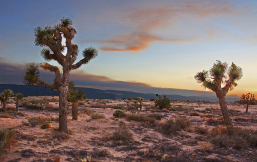 ONLY $99/ MONTH! LOCATED IN BOOMING CALIFORNIA CITY, THIS ATTRACTIVE LOT IS A FANTASTIC INVESTMENT OPPORTUNITY!