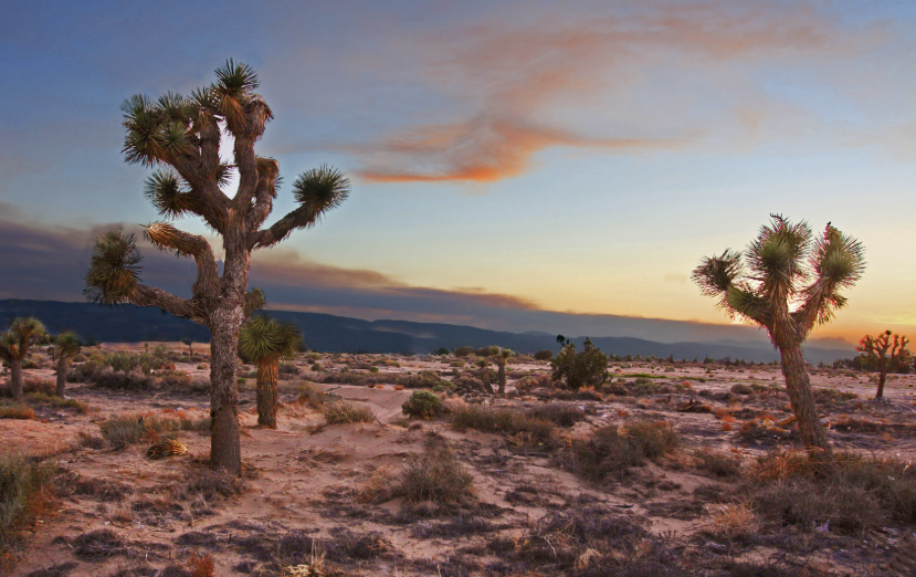 ONLY $99/ MONTH! LOCATED IN BOOMING CALIFORNIA CITY, THIS ATTRACTIVE LOT IS A FANTASTIC INVESTMENT OPPORTUNITY!